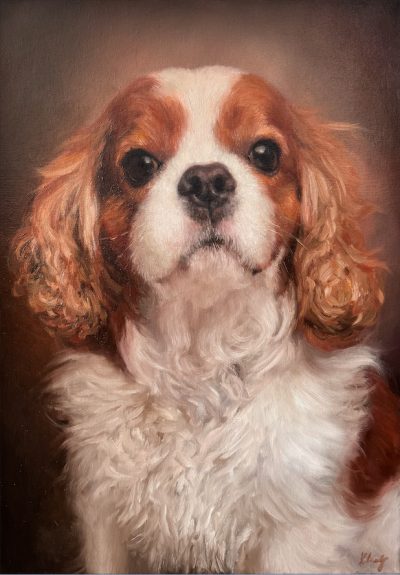Rudo-biały cavalier king charles spaniel en face na ciepłym brązowym tle