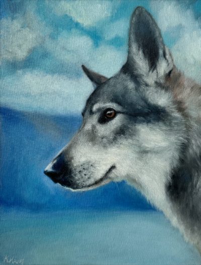 Szaro-biały wilczak z profilu na tle błękitnego nieba i wody